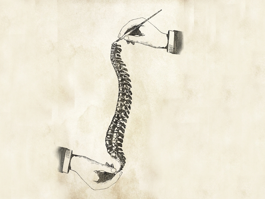 Complex movements and a neutral spine
